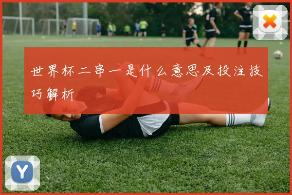 世界杯二串一是什么意思及投注技巧解析
