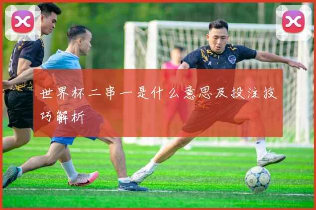 世界杯二串一是什么意思及投注技巧解析